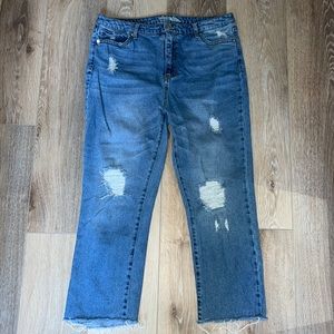 EUC Wild Fable Kick Flare High Rise Jean